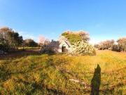 Rustico / Casale in vendita a Ostuni BR
