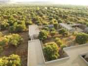 Rustico / Casale in vendita a Ostuni BR