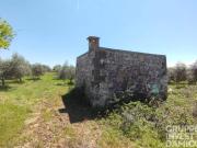 Rustico / Casale in vendita a Ostuni BR