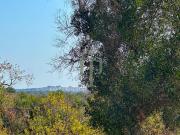 Rustico / Casale in vendita a Ostuni BR
