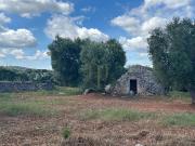 Rustico / Casale in vendita a Ostuni BR