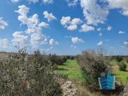 Rustico / Casale in vendita a Otranto LE