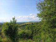 Rustico / Casale in vendita a Palombara Sabina RM
