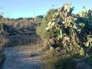 Rustico / Casale in vendita a Pantelleria TP