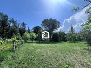 Rustico / Casale in vendita a Penna in Teverina TR