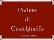 Rustico / Casale in vendita a Pietralunga PG