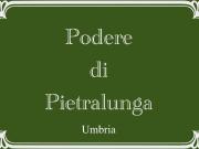 Rustico / Casale in vendita a Pietralunga PG