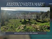 Rustico / Casale in vendita a Pietrasanta LU