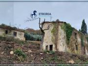 Rustico / Casale in vendita a Pistoia PT