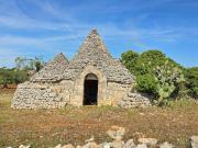 Rustico / Casale in vendita a Polignano a Mare BA