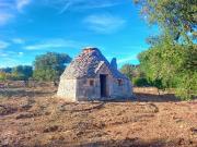 Rustico / Casale in vendita a Polignano a Mare BA