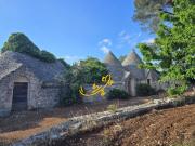 Rustico / Casale in vendita a Polignano a Mare BA