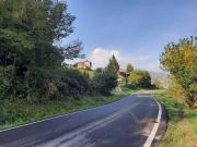 Rustico / Casale in vendita a Polinago MO