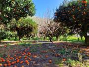 Rustico / Casale in vendita a Pozzuoli NA
