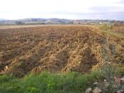 Rustico / Casale in vendita a Prato PO