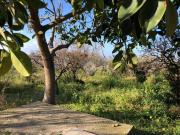 Rustico / Casale in vendita a Ragusa RG