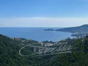 Rustico / Casale in vendita a Rapallo GE