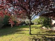 Rustico / Casale in vendita a Reggello FI