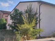 Rustico / Casale in vendita a Reggiolo RE