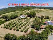 Rustico / Casale in vendita a Riparbella PI