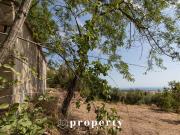 Rustico / Casale in vendita a Ripatransone AP