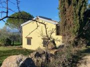 Rustico / Casale in vendita a Roccastrada GR