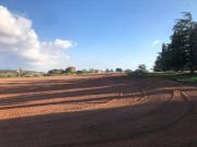 Rustico / Casale in vendita a Roma RM