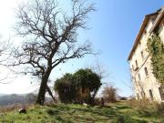 Rustico / Casale in vendita a Roverè Veronese VR