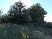 Rustico / Casale in vendita a San Costanzo PU