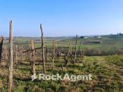 Rustico / Casale in vendita a San Damiano al Colle PV