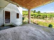 Rustico / Casale in vendita a San Giovanni Ilarione VR