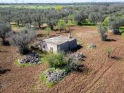 Rustico / Casale in vendita a San Michele Salentino BR