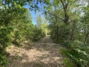 Rustico / Casale in vendita a San Venanzo TR