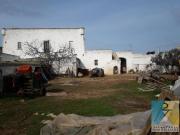 Rustico / Casale in vendita a San Vito dei Normanni BR