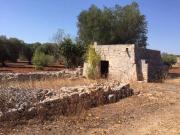 Rustico / Casale in vendita a San Vito dei Normanni BR