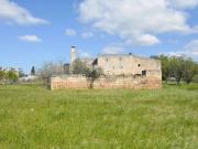 Rustico / Casale in vendita a San Vito dei Normanni BR