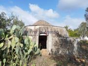 Rustico / Casale in vendita a San Vito dei Normanni BR