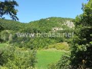 Rustico / Casale in vendita a Sant'Angelo in Vado PU