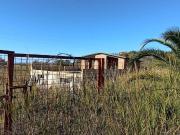 Rustico / Casale in vendita a Scalea CS