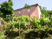 Rustico / Casale in vendita a Seravezza LU