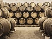 Rustico / Casale in vendita a Siena SI