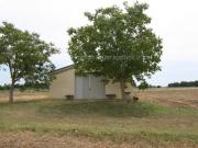 Rustico / Casale in vendita a Sinalunga SI