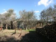 Rustico / Casale in vendita a Sinalunga SI