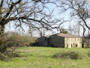 Rustico / Casale in vendita a Sorano GR