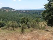 Rustico / Casale in vendita a Sorano GR