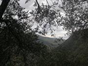 Rustico / Casale in vendita a Sori GE