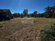 Rustico / Casale in vendita a Soriano nel Cimino VT