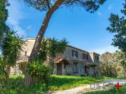 Rustico / Casale in vendita a Suvereto LI