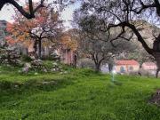 Rustico / Casale in vendita a Taormina ME