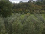 Rustico / Casale in vendita a Terni TR